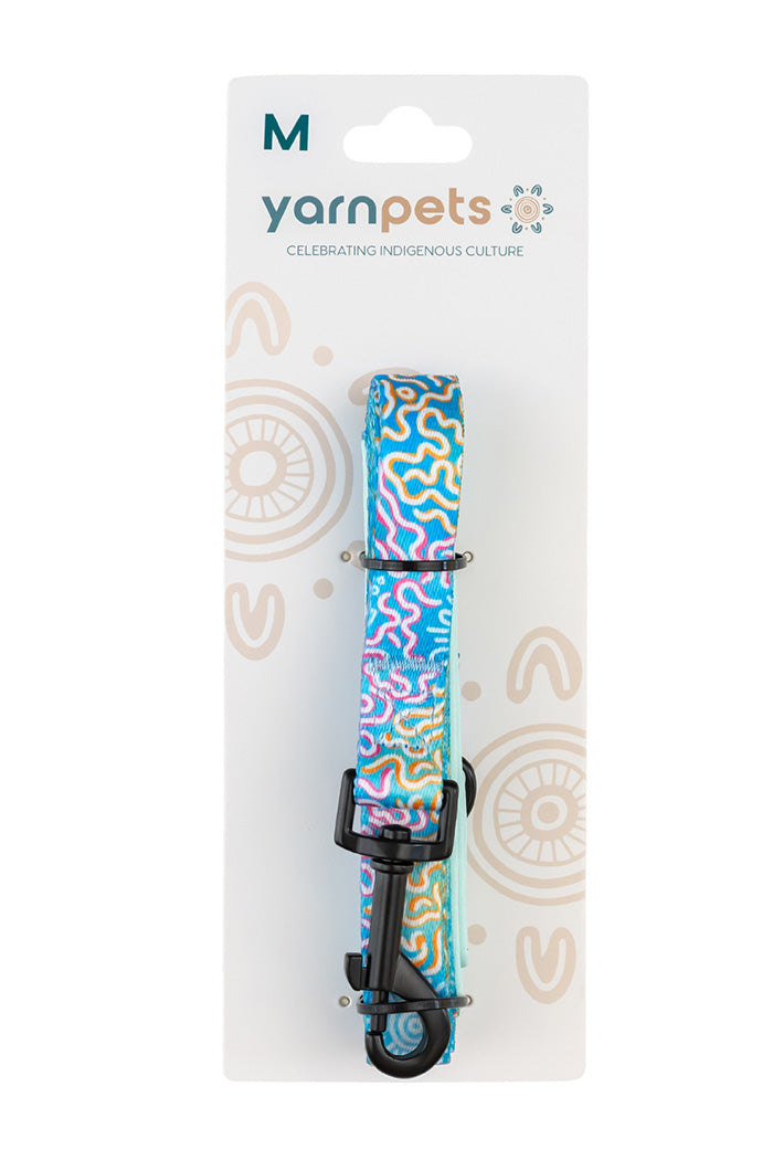 Sunset Over The Reef 'Animal Welfare League' Dog Leash, Collar and Bow