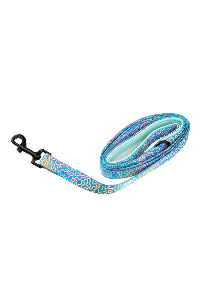 Sunset Over The Reef 'Animal Welfare League' Dog Leash