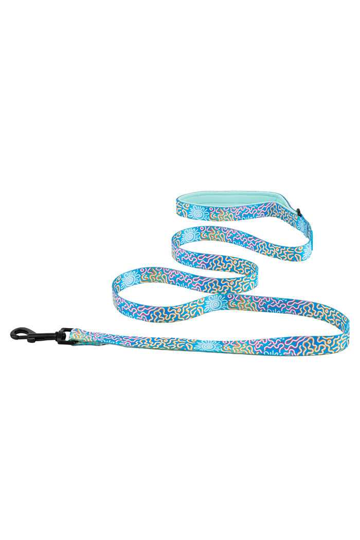 Sunset Over The Reef 'Animal Welfare League' Dog Leash