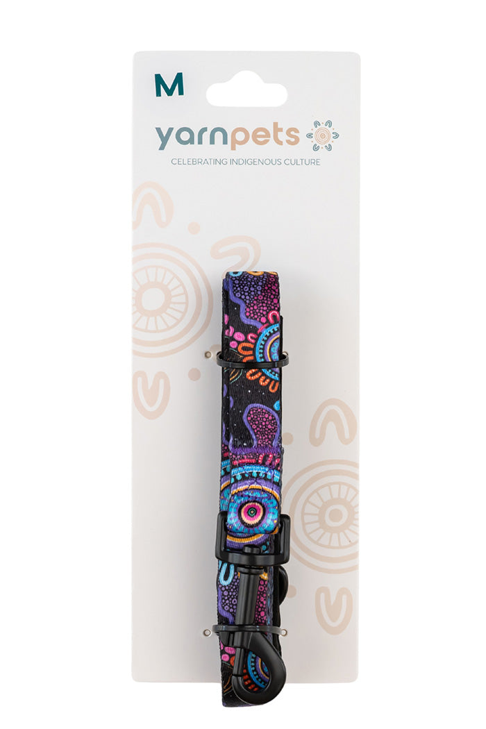 Celebration 'Animal Welfare League' Dog Leash and Harness