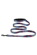 Celebration 'Animal Welfare League' Dog Leash