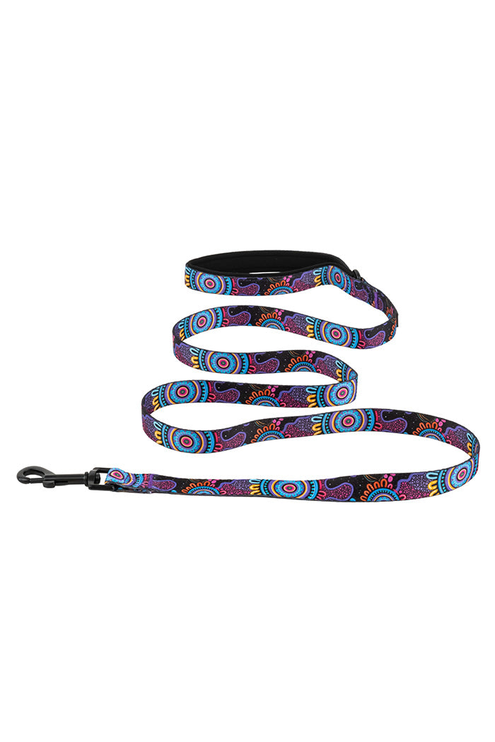 Celebration 'Animal Welfare League' Dog Leash