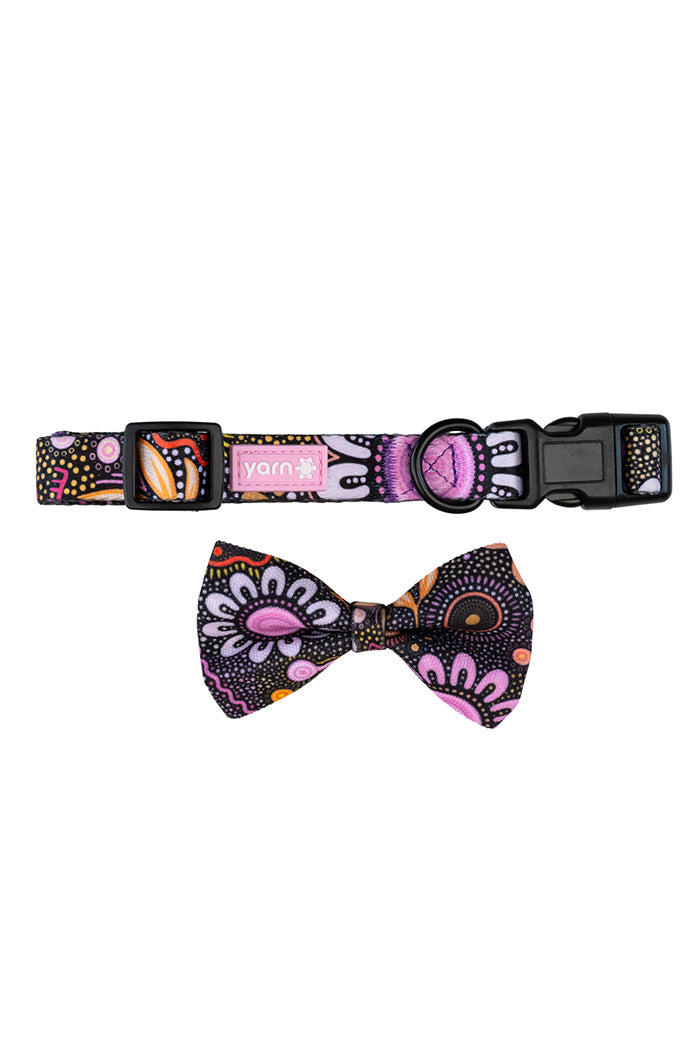 Country Resources 'Animal Welfare League' Dog Collar and Bow Pack