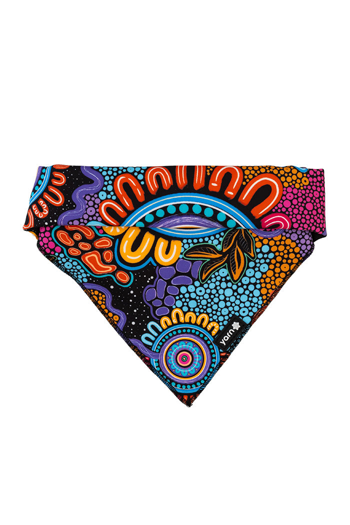 Celebration 'Animal Welfare League' Dog Bandana