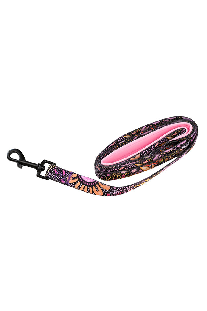 Country Resources 'Animal Welfare League' Dog Leash