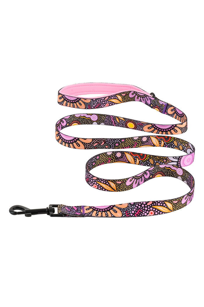 Country Resources 'Animal Welfare League' Dog Leash