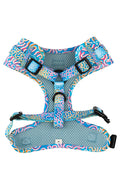 Sunset Over The Reef 'Animal Welfare League' Dog Harness