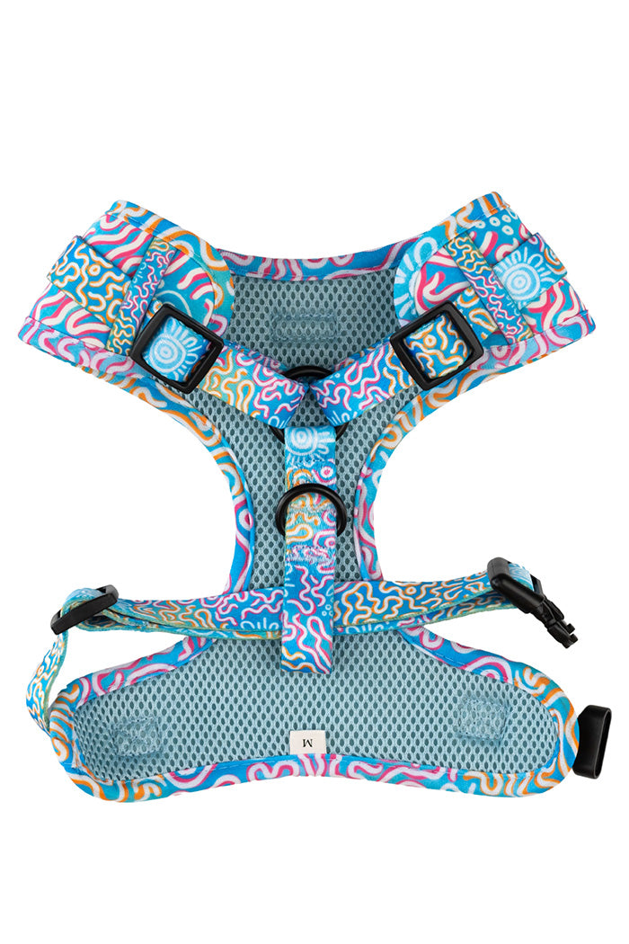 Sunset Over The Reef 'Animal Welfare League' Dog Harness