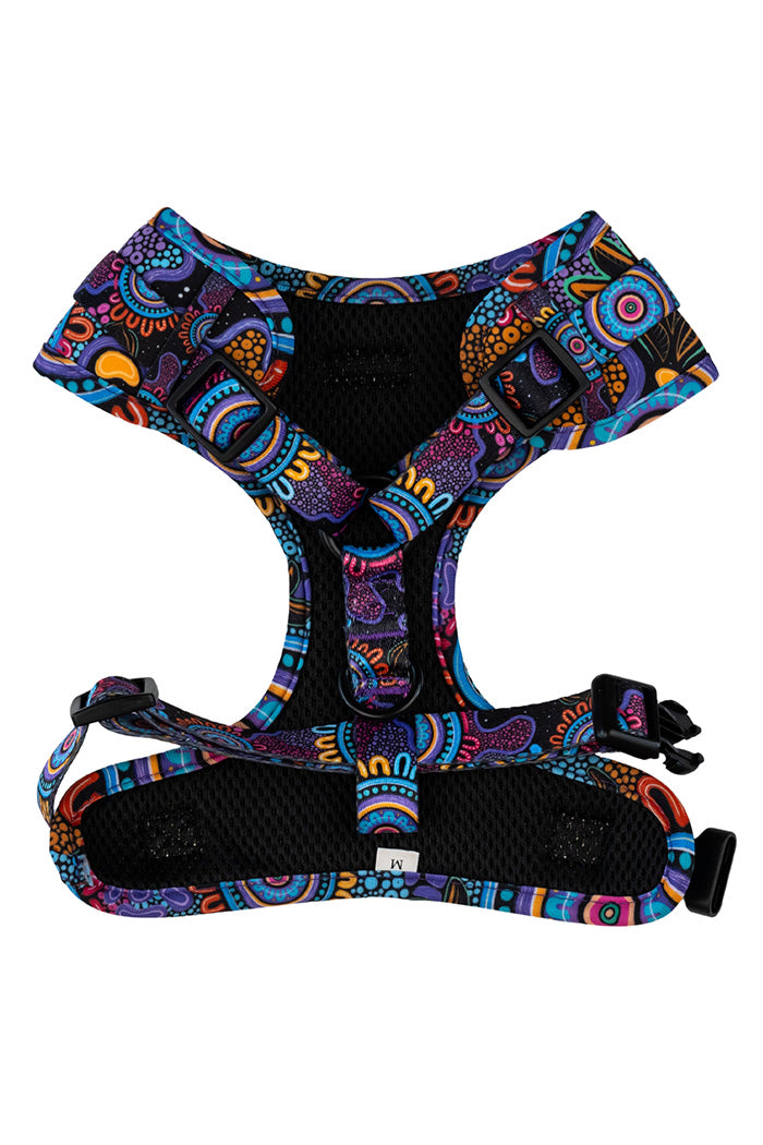 Celebration 'Animal Welfare League' Dog Leash and Harness