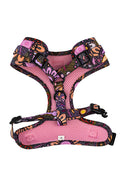 Country Resources 'Animal Welfare League' Dog Leash and Harness