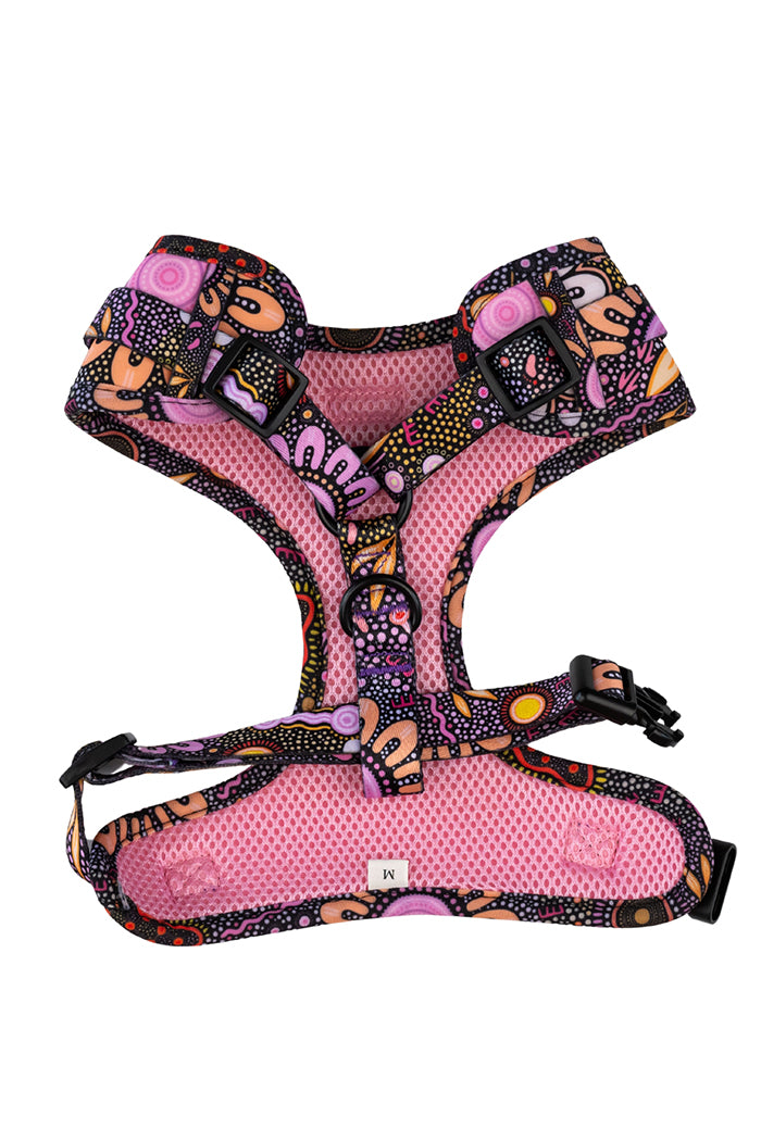 Country Resources 'Animal Welfare League' Dog Leash and Harness