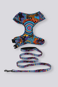 Celebration 'Animal Welfare League' Dog Leash and Harness