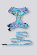 Sunset Over The Reef 'Animal Welfare League' Dog Leash and Harness