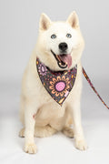 Country Resources 'Animal Welfare League' Dog Bandana