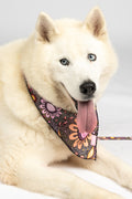 Country Resources 'Animal Welfare League' Dog Bandana