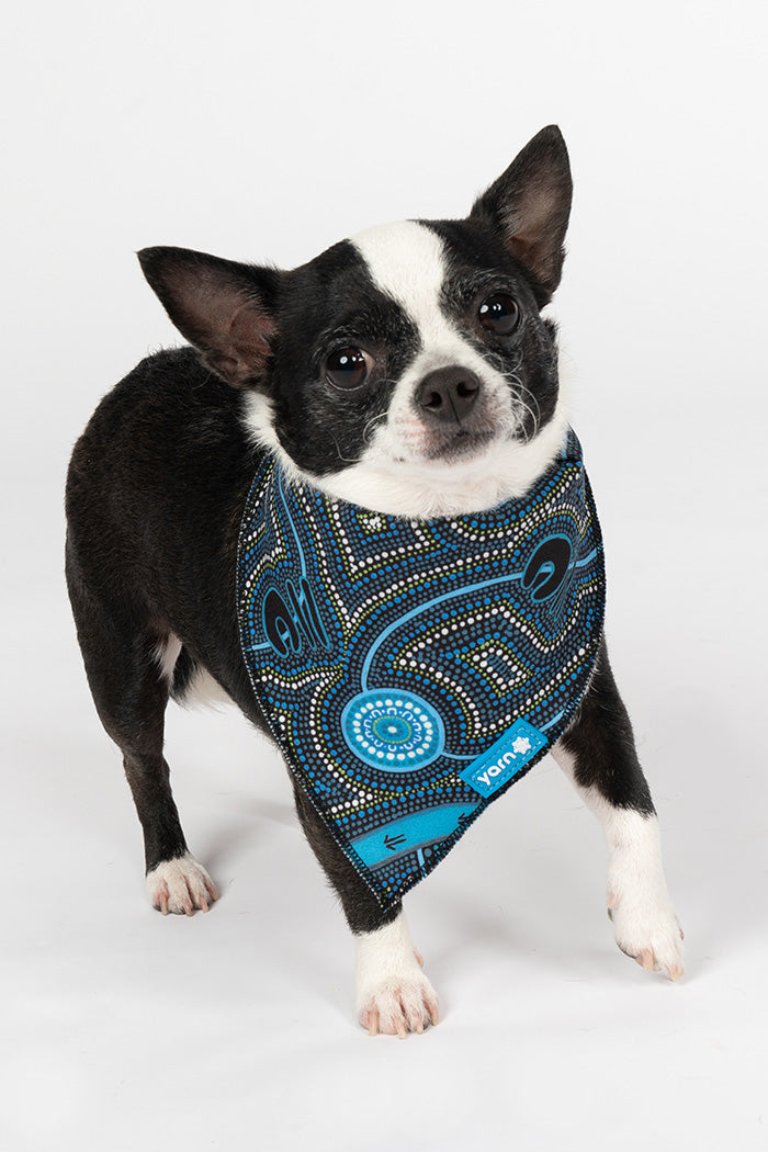 Deadly Dads 'Animal Welfare League' Dog Bandana