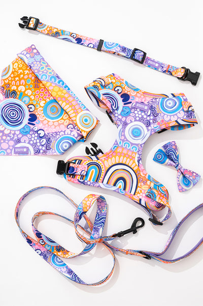 Ngootyoong (Joy) 'Animal Welfare League' Dog Collar and Bow Pack