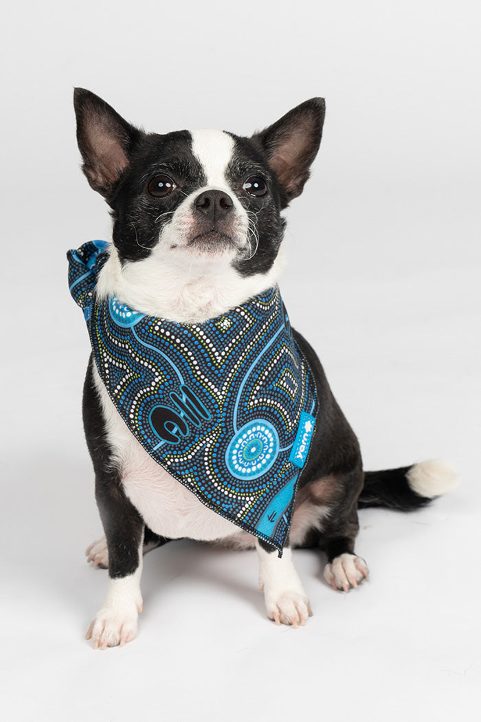 Deadly Dads 'Animal Welfare League' Dog Bandana