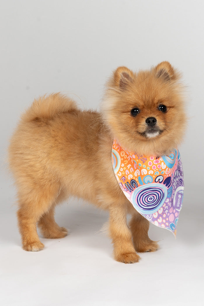 Ngootyoong (Joy) 'Animal Welfare League' Dog Bandana