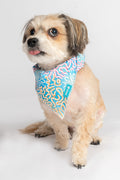 Sunset Over The Reef 'Animal Welfare League' Dog Bandana