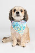 Sunset Over The Reef 'Animal Welfare League' Dog Bandana