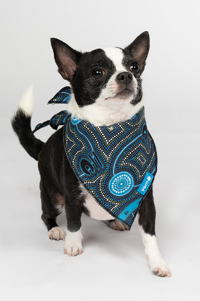 Deadly Dads 'Animal Welfare League' Dog Bandana