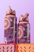 Pink Colours 650mL Insulated Stainless Steel Drink Bottle with Handle