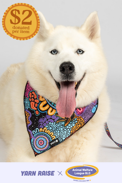 Celebration 'Animal Welfare League' Dog Bandana