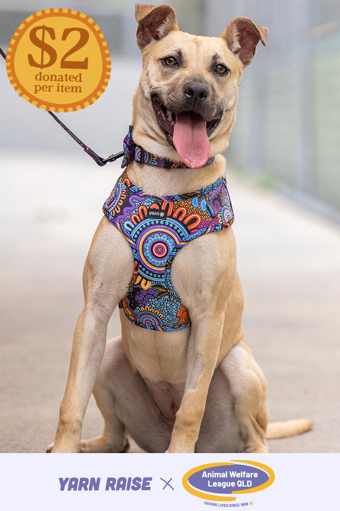 Celebration 'Animal Welfare League' Dog Harness