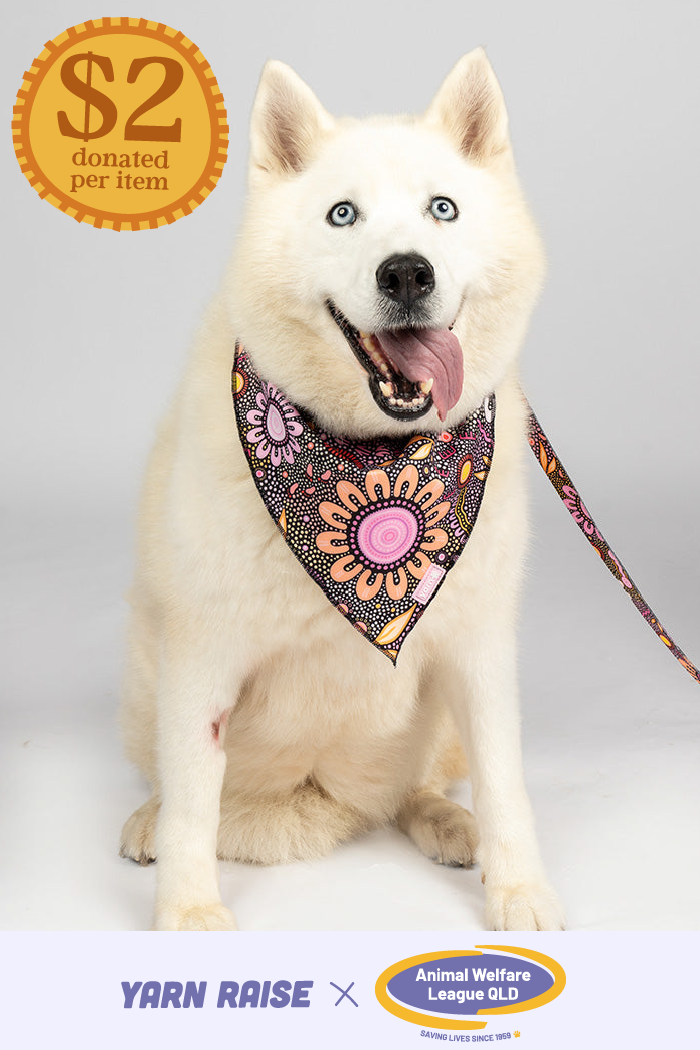 Country Resources 'Animal Welfare League' Dog Bandana