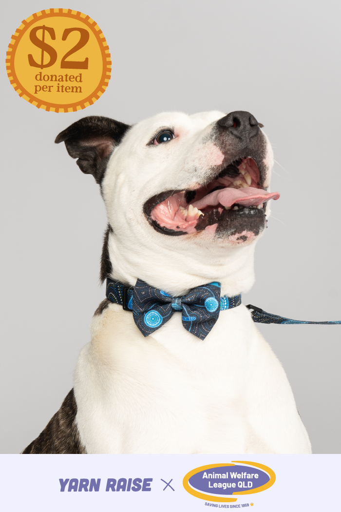 Deadly Dads 'Animal Welfare League' Dog Collar and Bow Pack