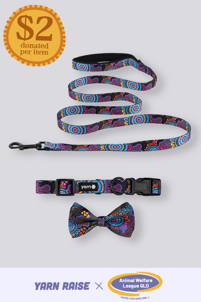 Celebration 'Animal Welfare League' Dog Leash, Collar and Bow