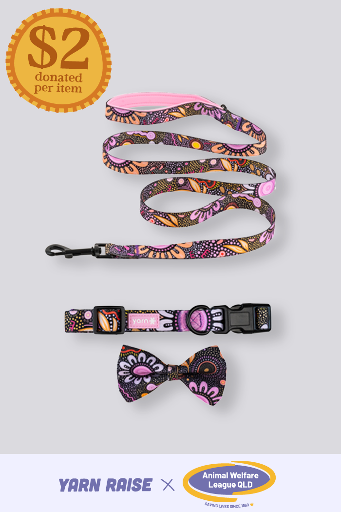 Country Resources 'Animal Welfare League' Dog Leash, Collar and Bow