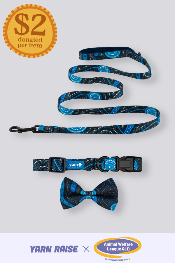 Deadly Dads 'Animal Welfare League' Dog Leash, Collar and Bow