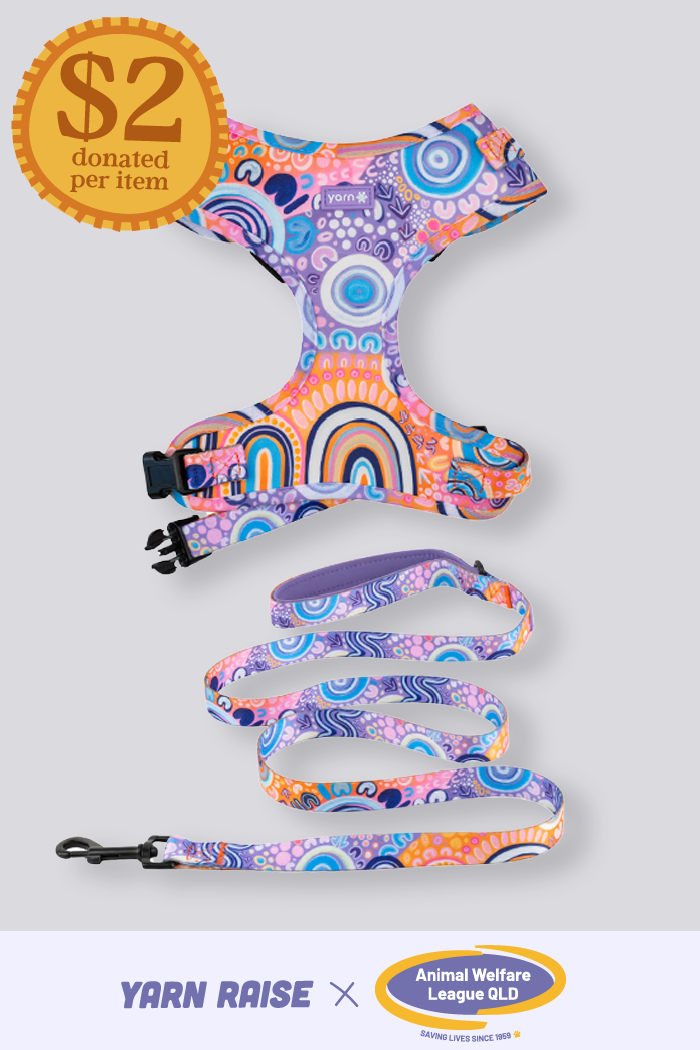 Ngootyoong (Joy) 'Animal Welfare League' Dog Leash and Harness