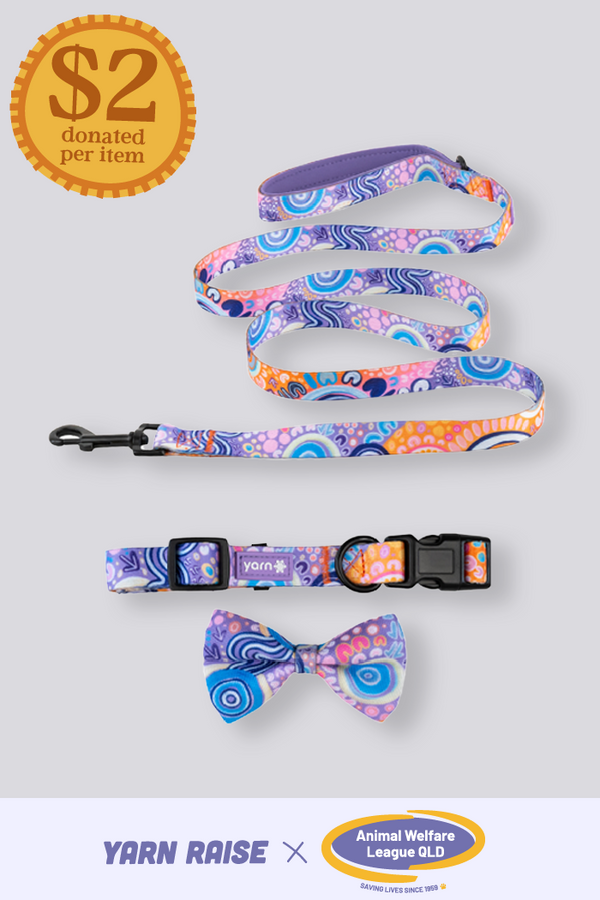 Ngootyoong (Joy) 'Animal Welfare League' Dog Leash, Collar and Bow