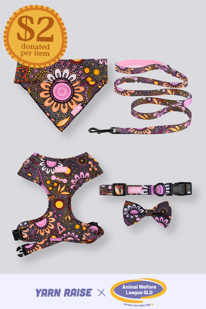 Country Resources 'Animal Welfare League' Dog Leash and Harness